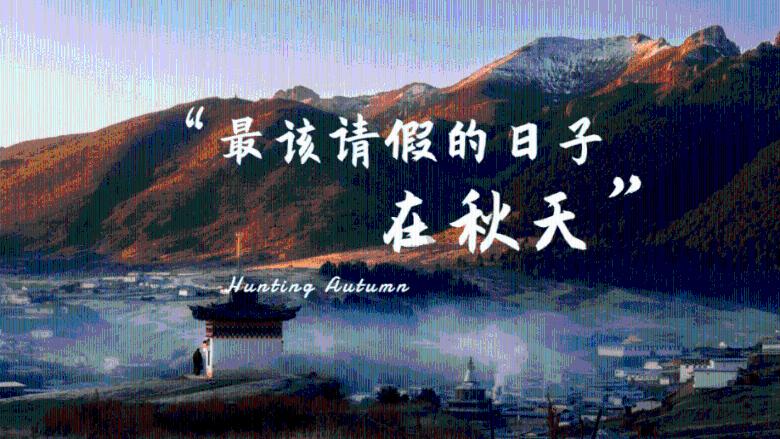 长沙交通执法“打非治违 护航春运”专项行动启动