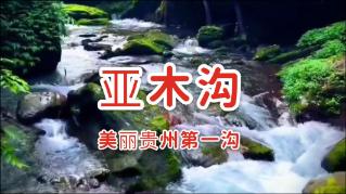 逗小猴开心系列189