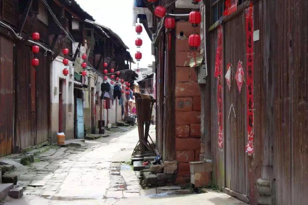 面里生虫子了还能吃吗游戏画面